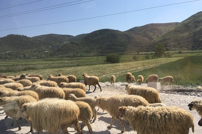 Outdoor Experience in Amantia Archeological Park & Brataj Bidge - Why this Vlore day feels like a route, not a checklist