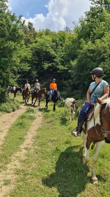 Përmet: Amazing Horse Riding Experience at Vjosa NP - Who this ride fits, and who should skip it