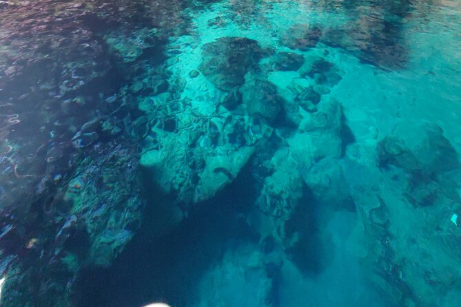 Private Half Day Boat Sazani Island & Haxhi Aliu Cave - Practical tips to make the 4 hours feel smooth