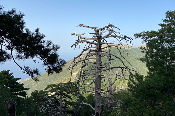 Private Hiking Tour in Çika Mountain - Price check: what $192.24 per group buys you, and when it is a good deal