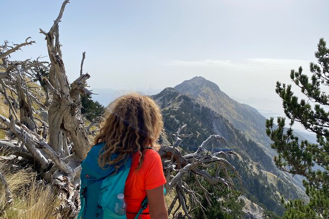 Private Hiking Tour in Çika Mountain - Vlore Baypass: a short scenic pause that sharpens your photos and your expectations