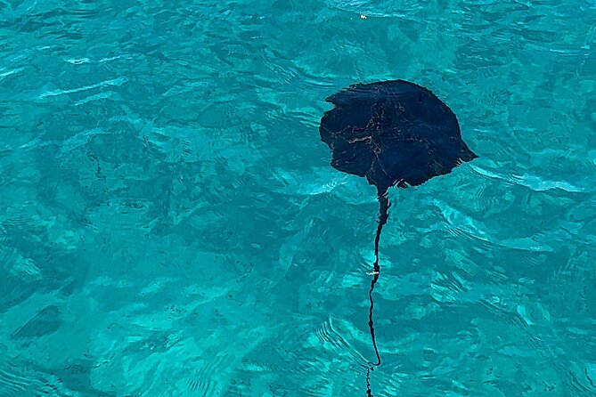 Saranda: Riviera Secrets, Cruise to Krorez and Turquoise Bays - Why this Sarandë boat day feels better than the big-tour version
