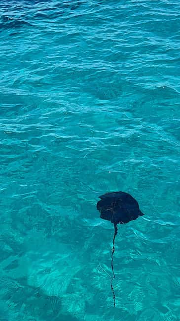 Sarandë Sea Safari: Speedboat to Hidden Coves & Wild Beaches - The Route and Timing: How the Stops Break Down