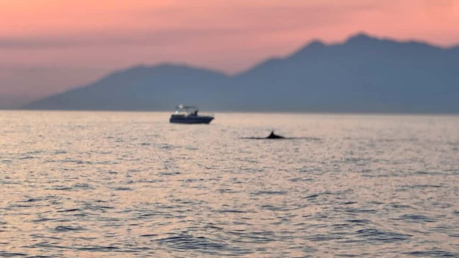 Sarandë Sea Safari: Speedboat to Hidden Coves & Wild Beaches - Snorkeling Setup: What’s Included and What You Should Bring