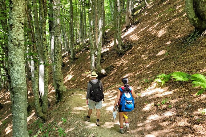 Self-Guided Hiking Tour: Theth, Valbona & Koman Lake in 3 Days - Albanian Alps on your own terms, without untangling transport