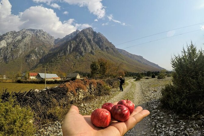 Self-Guided Hiking Tour: Theth, Valbona & Koman Lake in 5 days - Day 5: Komani Lake by Boat from Fierza Dam, then Back via Vau i Dejes