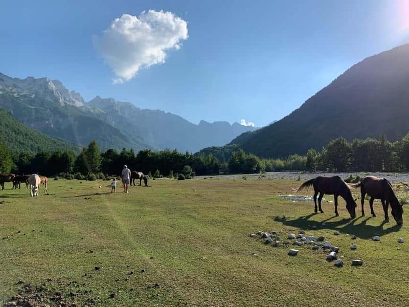 Shkoder: Transfers to Valbona/Theth/Shala River. Both ways. - Boarding the ferry at Koman, then arriving in Fierza