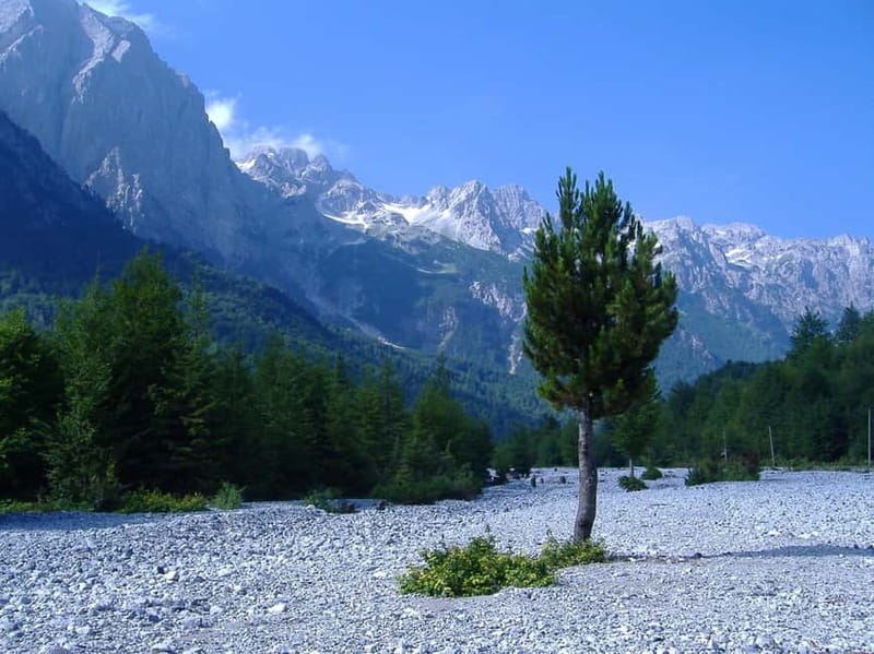 Shkodra to Valbona: including Komani Lake & Shala River Tour - Koman Lake by boat: fjord-style cliffs, clean water, and lots of photo time