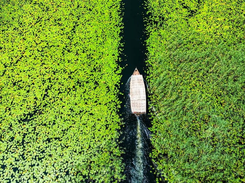 Skadar Lake National Park: Private Wooden Boat Tour & Wine - Key Moments Worth Clinging To
