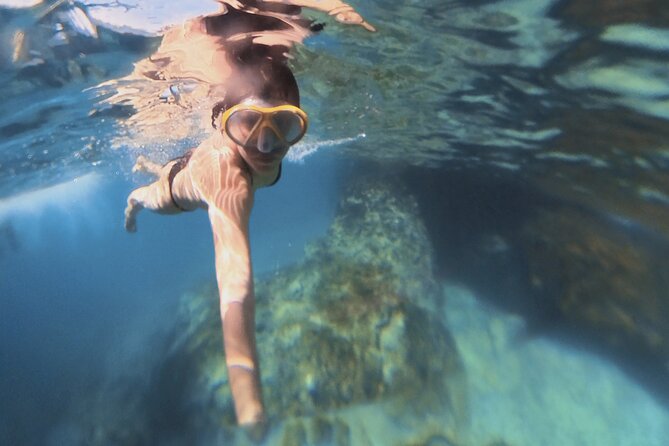 Snorkeling 360 Experience in Sazan Island & Karaburun - Price and value: what $48.39 buys you in real terms