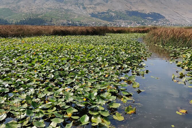 Stand Up Paddle Board or Kayak Rental in Shkodër - Gear up, get your route, then paddle on your own terms