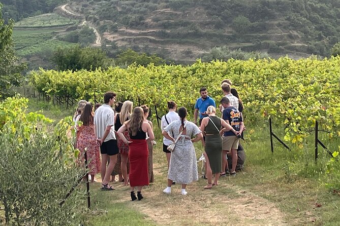 Taste Albania: Wine & Raki Tasting in Berat - Roshnik Village and the Vineyard Walk, Grape to Glass