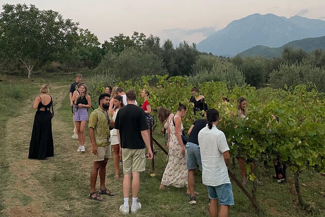 Taste Albania: Wine & Raki Tasting in Berat - The Tasting That Actually Lets You Compare: 3 Wines and 3 Raki