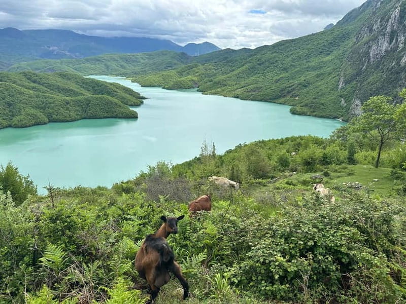Tirana: Bovilla Lake & Gamti Mountain with SUV, No-Hiking - The Road Home: Timing, Energy, and How Not to Rush It