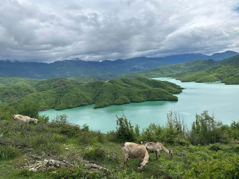 Tirana: Bovilla Lake & Gamti Mountain with SUV, No-Hiking - Value for $106: What You’re Really Paying For