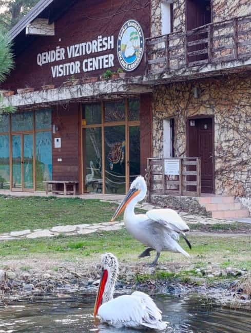 Tirana / Durrës: Berat UNESCO City & Karavasta National Park - What’s included in the price, and where you’ll likely spend extra