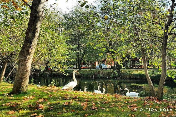 Tirana Hidden Treasures Sightseeing Tour - Price at $16.10, and What You Might Pay Extra for