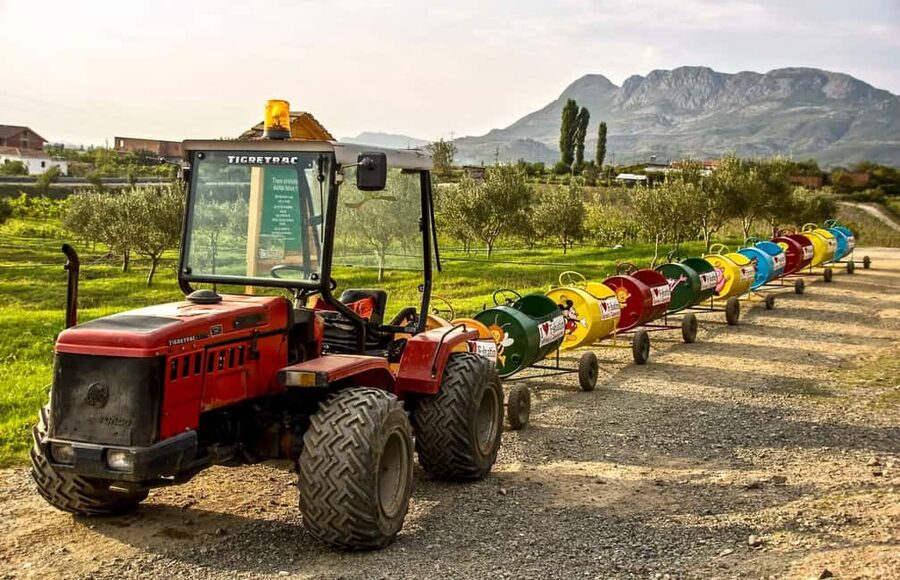 Tirana: Kruja Day Trip with Farm-to-Table Lunch - Timing, pacing, and what to expect in a 7.5-hour day