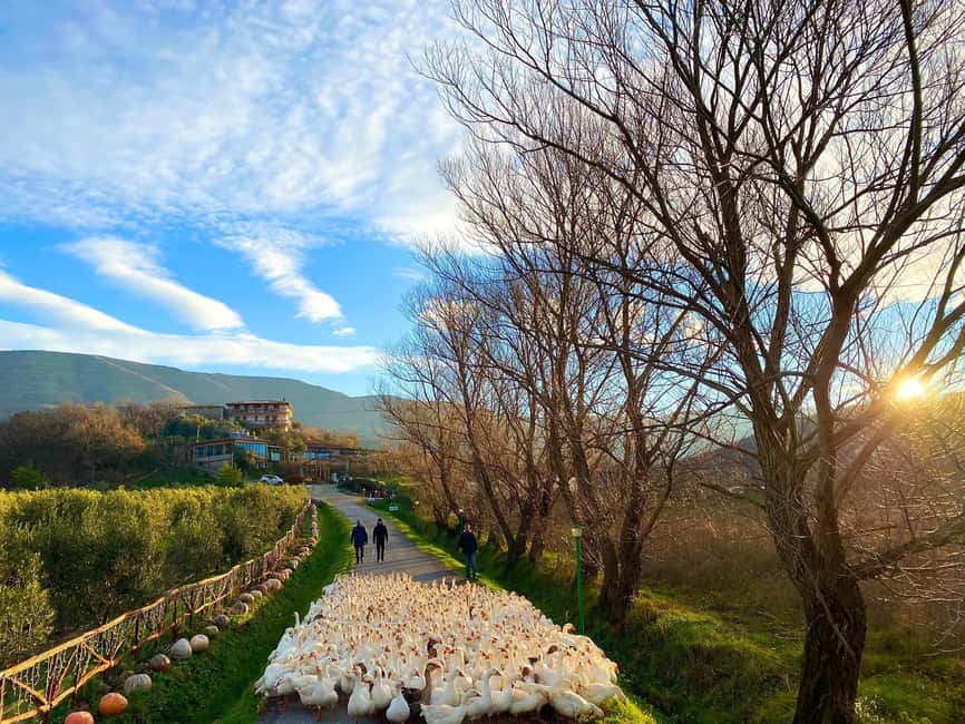 Tirana: Kruja Day Trip with Farm-to-Table Lunch - From Tirana to Kruja: what the van time sets up