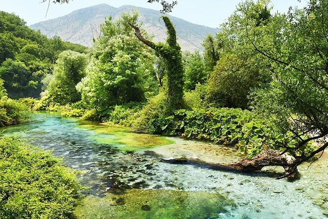 Tour to Butrint Antic City/Blue Eye Spring/Lekursi Castle - Blue Eye in real life: turquoise water, a long-ish approach, and weather reality