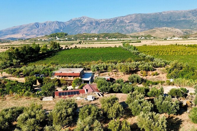 Traditional Albanian Food and Wine Tasting - Key highlights to look for