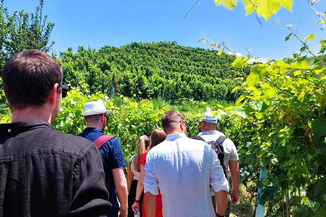 Vineyards, Albanian Wine Tasting & Boat Tour from Tirana/Durres - Key things to know before you go