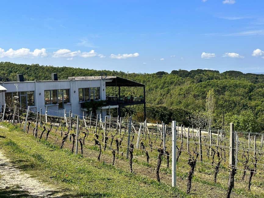 Vlora: Zvernec, Ardenica, Local Winery & Food Experience - Transportation and timing: why the 6-hour flow feels manageable