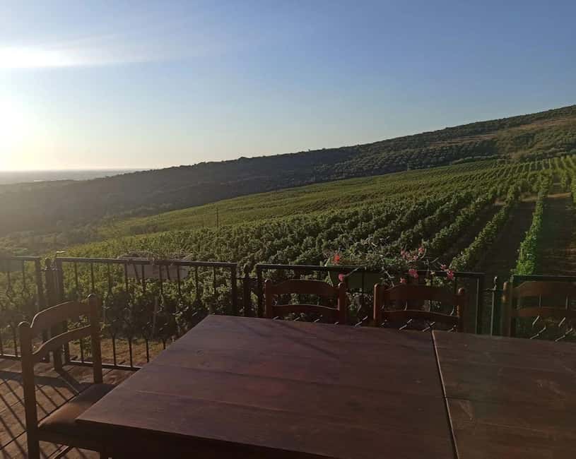 Vlora: Zvernec, Ardenica, Local Winery & Food Experience - Tips to get the most out of the day