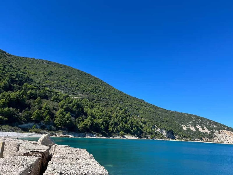 Vlore: Explore Sazan Island & Haxhi Ali Cave by Speedboat - Guide and skipper energy: what good looks like on this trip