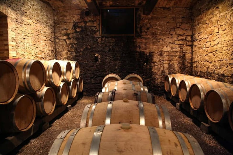 Wine Tasting & Vineyards Escape near Tirana - Key Highlights You’ll Actually Notice