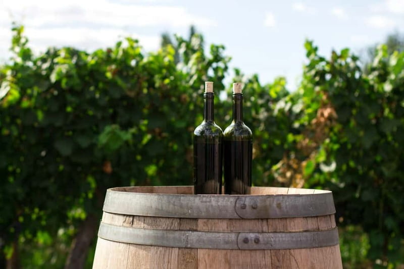 Wine Tasting & Vineyards Escape near Tirana - How the Timing Works for a Smooth 5 to 6 Hours