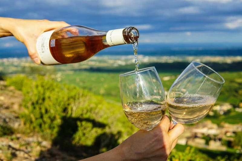 Wine Tasting & Vineyards Escape near Tirana - A few names and details to look for when you arrive