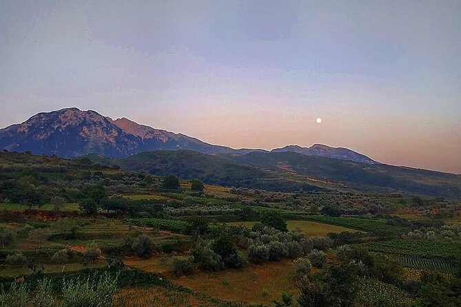 Winetasting tour in Alpeta winery - Roshnik village by 1001 Albanian Adventures - Group Size, English Hosting, and the Comfort Factor
